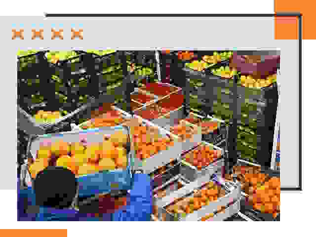 Перевозка скоропортящихся продуктов в Карталах